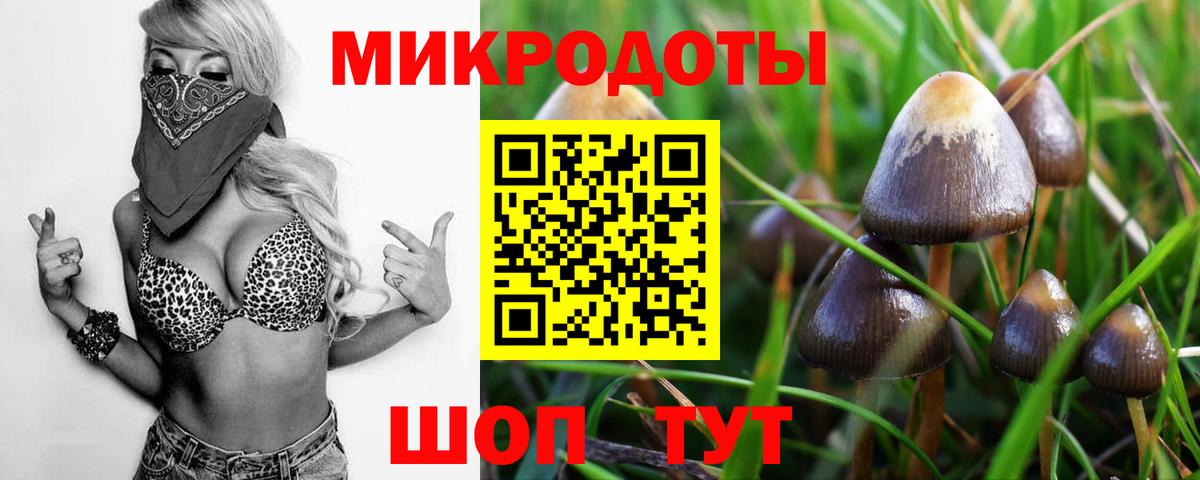 Ахтубинск  Псилоцибиновые грибы GOLDEN TEACHER  купить наркотик  Вход с VPN 