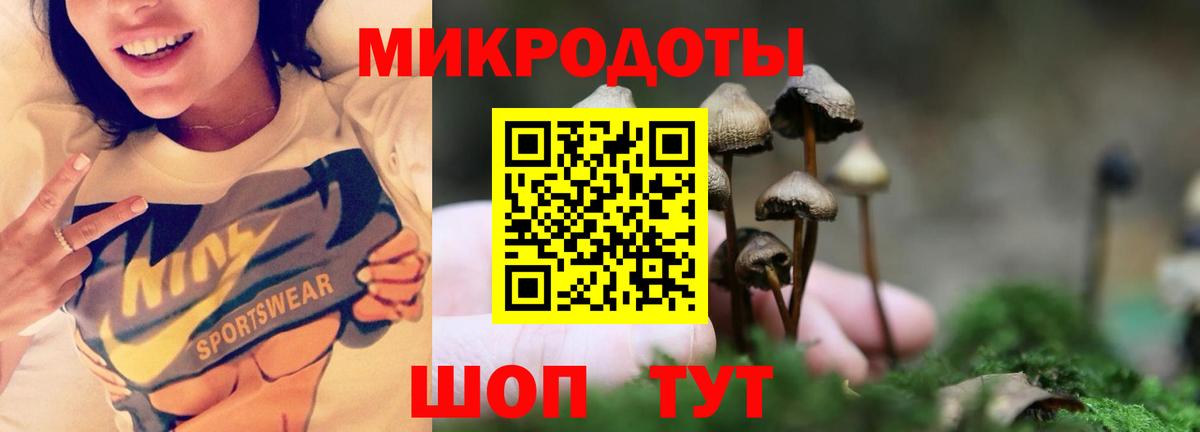 Псилоцибиновые грибы GOLDEN TEACHER Ахтубинск